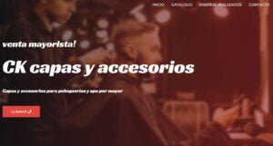 Diseño de paginas web en Argentina. Mil Paginas web