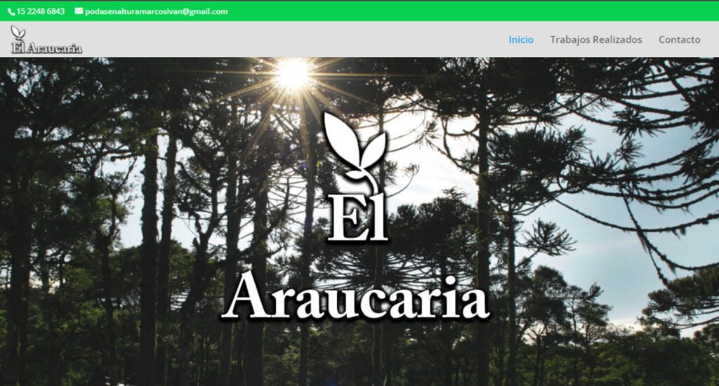 Diseño de paginas web en Argentina. Mil Paginas web