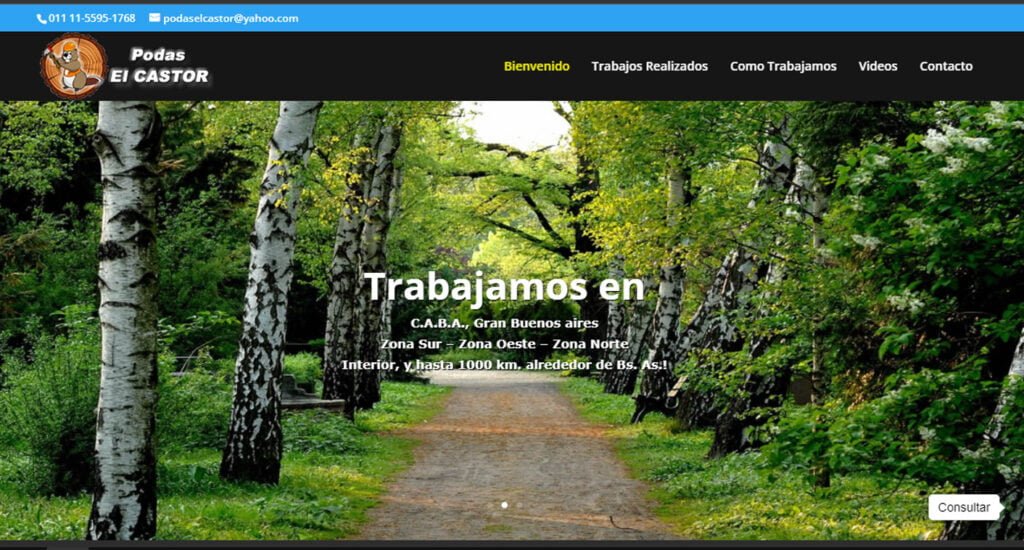 Diseño de paginas web en Argentina. Mil Paginas web