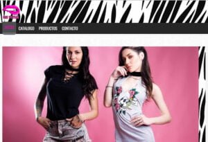 Diseño de paginas web en Argentina. Mil Paginas web