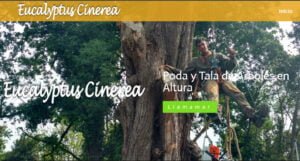 Diseño de paginas web en Argentina. Mil Paginas web