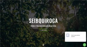 Diseño de paginas web en Argentina. Mil Paginas web