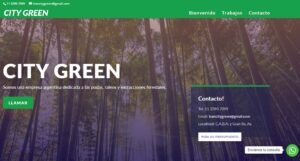 Diseño de paginas web en Argentina. Mil Paginas web