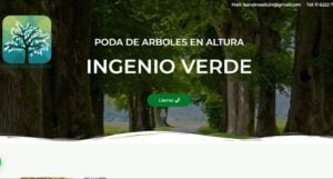 Diseño de paginas web en Argentina. Mil Paginas web