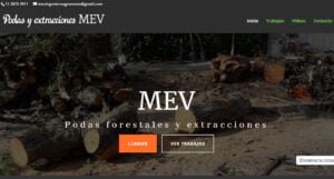 Diseño de paginas web en Argentina. Mil Paginas web