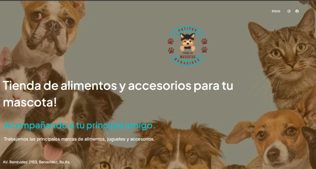 Diseño de paginas web profesionales. Mil Paginas Web